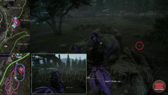 最终幻想15陆行鸟颜色梨都在啥地方_FF15陆行鸟颜色梨位置图文详细说明