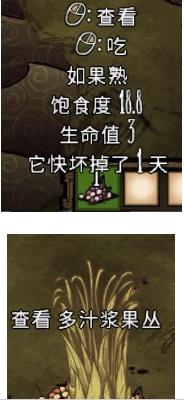饥荒联机版前期经常见回血食物列表_饥荒联机版前期回血食物有哪些