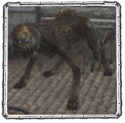 ڰ֮3ڰ֮3ͼȫ_ڰ֮3ȫԽ