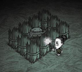 ôǨţȺ_ǨţȺͼĹ