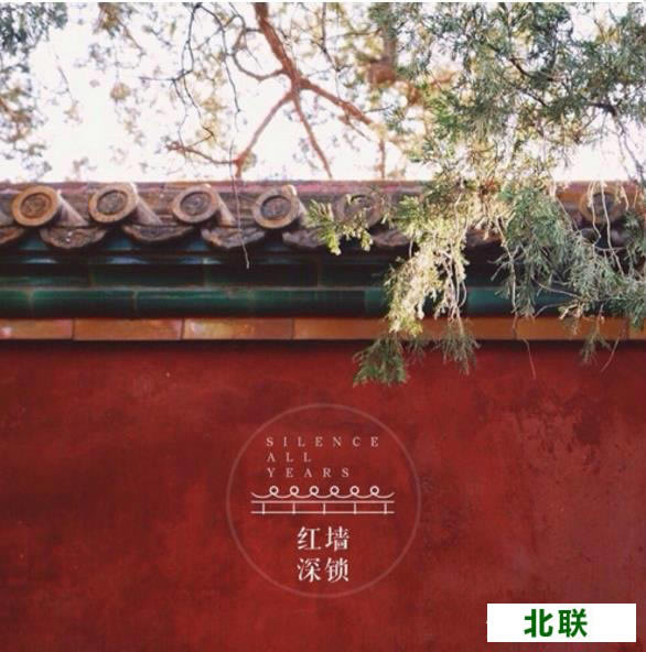 黄油相机 黄油相机