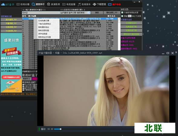 种子搜索神器下载绿色版v9.1.0