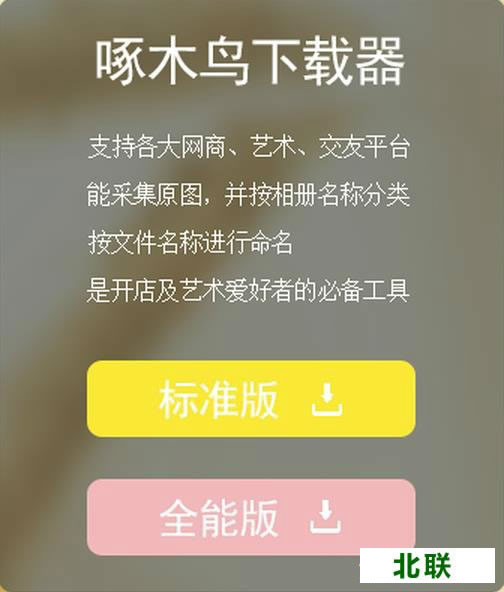 啄木鸟图片下载器官网下载2020标准版