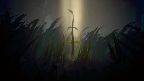 阳光免费下载-阳光中文版免费下载