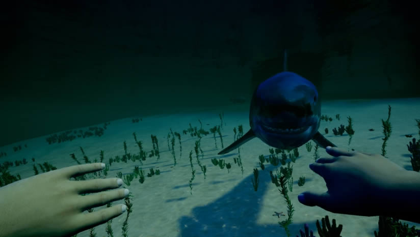 ҵĺϷ