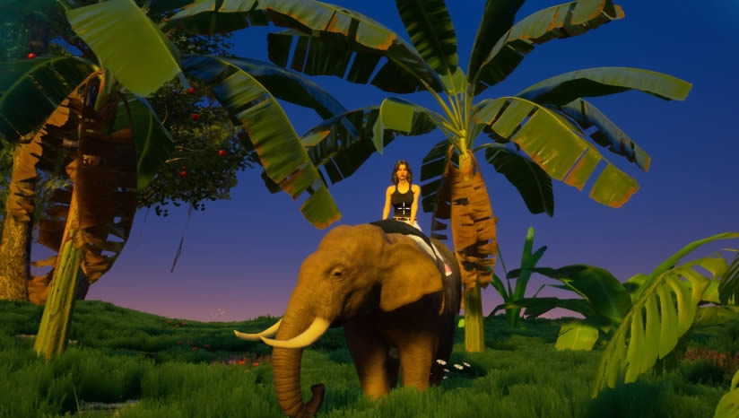ҵĺϷ