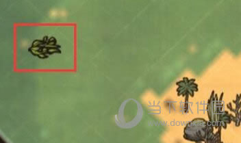 海藻