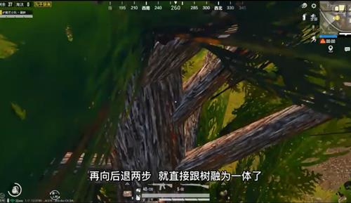和平精英石心城怎么跳到树上_和平精英石心城上树阴人技巧