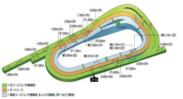 赛马娘手游竞马场坡道位置在哪_赛马娘手游竞马场坡道位置汇总一览