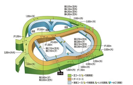 赛马娘手游竞马场坡道位置在哪_赛马娘手游竞马场坡道位置汇总一览