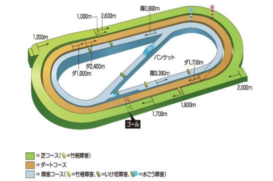 赛马娘手游竞马场坡道位置在哪_赛马娘手游竞马场坡道位置汇总一览