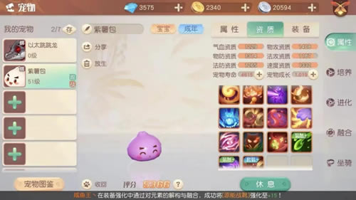 梦想新大陆宠物小笼包怎么样_梦想新大陆宠物小笼包介绍
