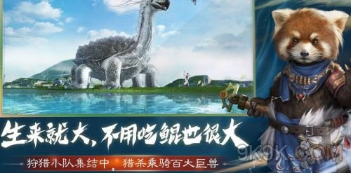 ɽ淨ô_ɽ淨