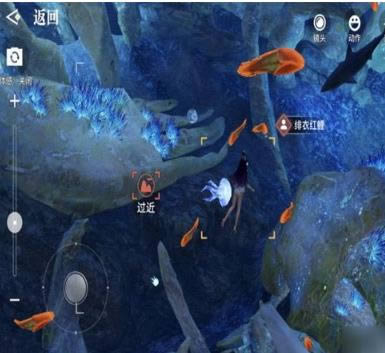 天谕手游幽光鲸落在什么地方_天谕手游幽光鲸落位置列表