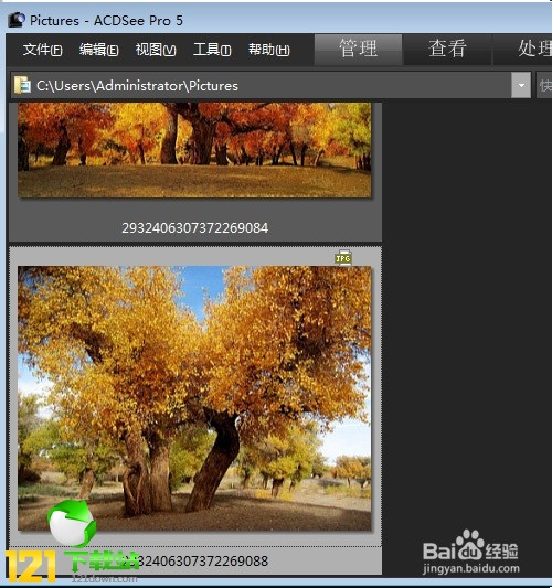 acdsee3.1中文绿色免费版