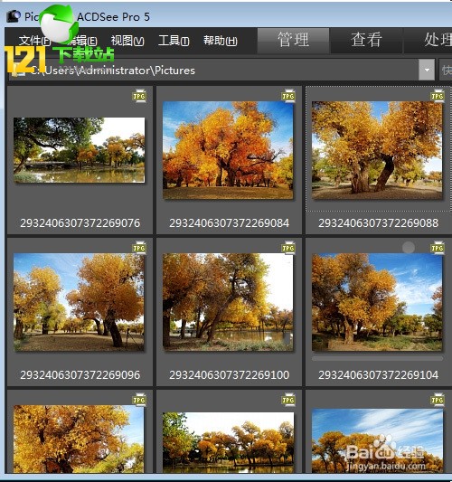 acdsee3.1中文绿色免费版