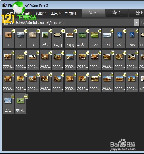 acdsee3.1中文绿色免费版