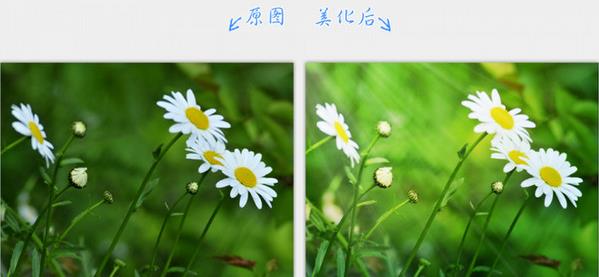 2345看图王官方正式版免费下载_绿色免费版下载