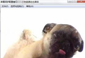 狗狗舔屏动态屏保电脑端下载_官方版下载 狗狗舔屏动态屏保电脑端下载_官方版下载