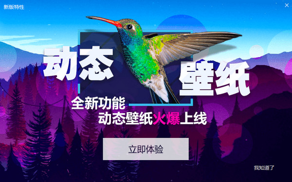 小鸟壁纸动态壁纸最新官方版免费下载_免费版下载
