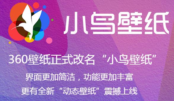 小鸟壁纸官方正式版免费下载_绿色免费下载下载