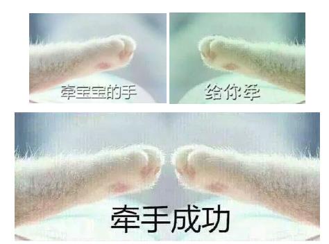 牵宝宝的手表情包完整版下载V1.1 牵宝宝的手表情包完整版下载V1.1
