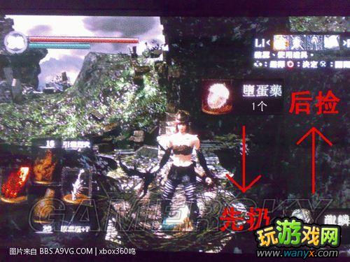 《黑暗之魂》鸟巢无限交换龙鳞方法视频解说